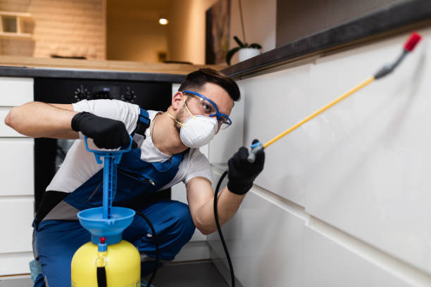 Best Pest Removal Services  in Narrows, VA