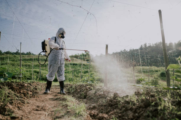 Best Commercial Pest Control Services  in Narrows, VA
