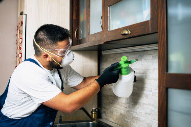 Best Wildlife Control Services  in Narrows, VA