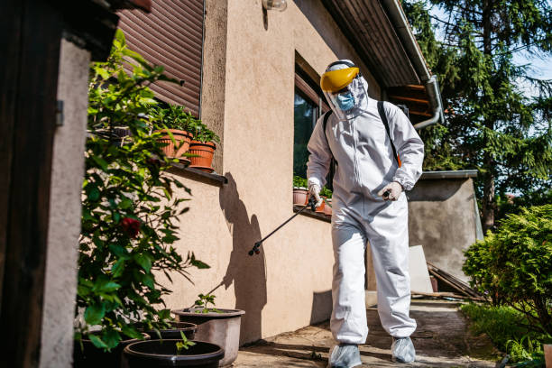 Best Affordable Pest Control Services  in Narrows, VA