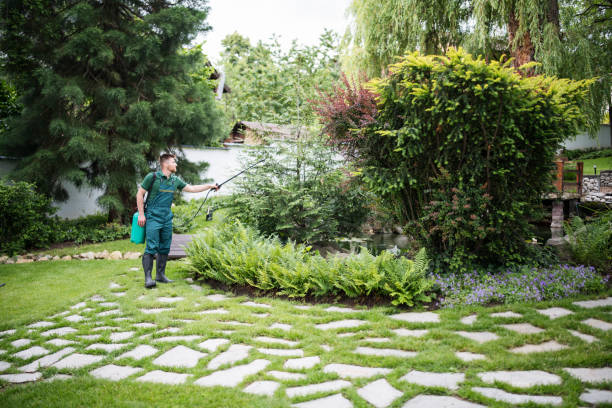 Best Wasp Removal Services  in Narrows, VA