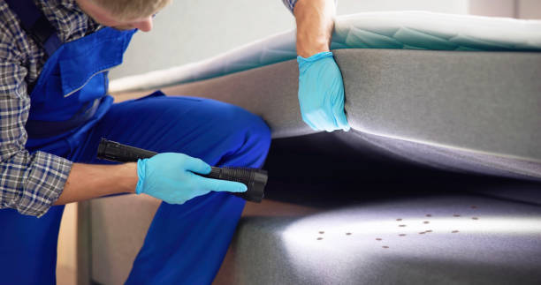 Best Flea Control Services  in Narrows, VA