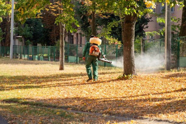 Wasp Removal Services in Narrows, VA