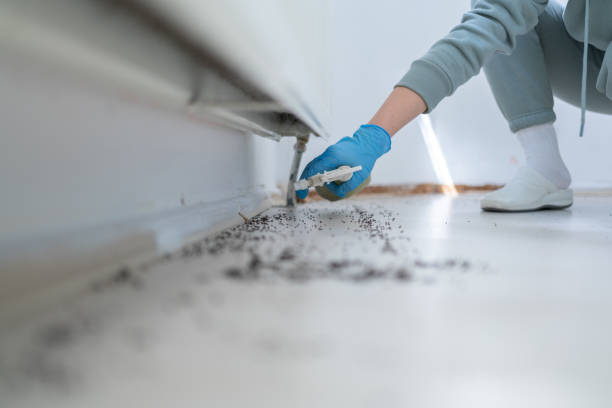 Trusted Narrows, VA Pest Control Experts