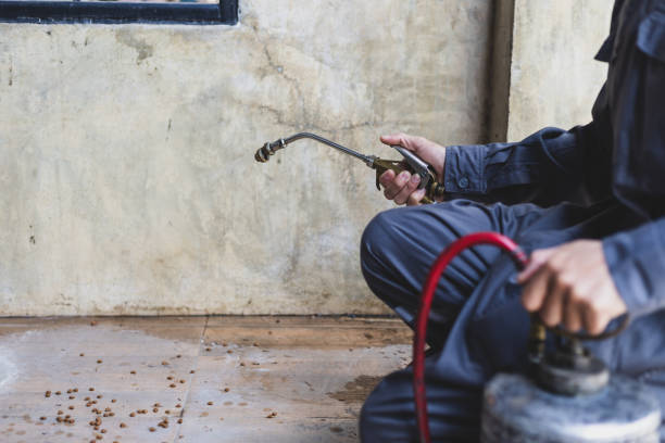 Best Pest Inspection Near Me  in Narrows, VA